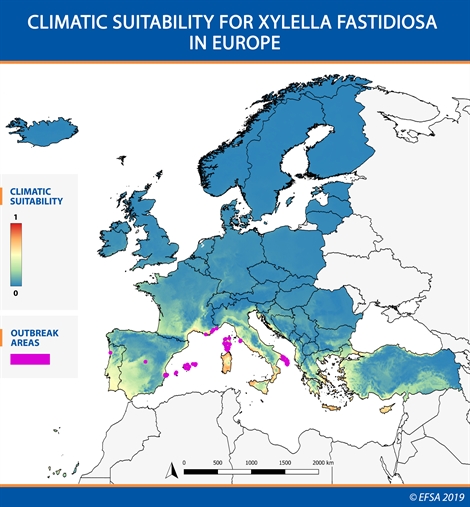 Climatic suitability for Xyllela in Europe